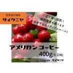 【クリックポストで送料無料!】自家焙煎 コーヒー豆 ドリップ アメリカン コーヒー 400g(100g当650円)(生豆時)