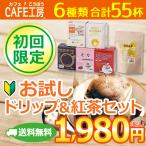 送料無料  初回限定 ドリップコーヒーお試しセット (珈琲 コーヒー)