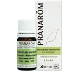 タナセタム 5ml （プラナロム）（精