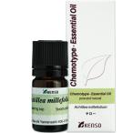 ヤロー 5ml （プラナロム輸入元 健草