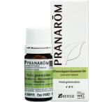 イヌラ 5ml （プラナロム）（イニュ