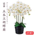 胡蝶蘭 光触媒5本立ち 御祝 誕生日 長寿御祝 ギフト 開業 開店 移転 昇進 株主総会 豪華 送料無料