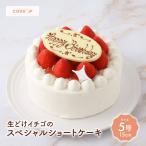 ショッピングバースデーケーキ 誕生日ケーキ 生どけイチゴのスペシャル ショートケーキ バースデーケーキ お祝い 記念日 お取り寄せ 苺 送料無料 5号 3~5人用