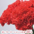 お祝い バレンタイン 卒業祝い 母の日 赤いカーネーションの花束 30本