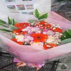  orange цвет. гербера . основной .! возможно love казаться orange . розовый букет . подарок .