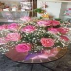  купол типа много. rental mi saw . розовый. роза. возможно love казаться . цветок . подарок .*