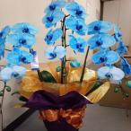  красивый голубой. *3шт.@ установить . бабочка орхидея *