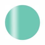 Calgel カルジェル カラージェル プラ