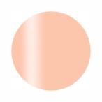 Calgel カルジェル カラージェル プラ