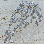 D.nail ¥Ç¥£¥Í¥¤¥ë¥í¥ó¥°¥á¥¿¥ë S ¥·¥ë¥Ð¡¼ 10P