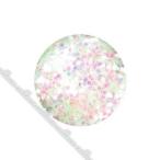 BEAUTY NAILER ビューティーネイラー クリスタリーナ ジュエルグリッター CRN-5 オーロラピンク 1000ミクロン