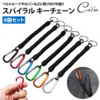  цепочка для ключей спираль 6 шт. комплект kalabina имеется кольцо для ключей брелок для ключа ключ ключ растягивать . утерян предотвращение 