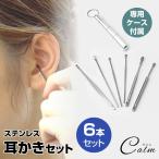 耳かき 6本 セット ケース付属 キーリング付き 耳掃除 コンパクト ステンレス 携帯 耳かきセット 耳掃除セット