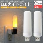 LEDライト ナイトライト 2個セット 揺らめく光 炎のような揺らめき USB給電 小型 軽量 コンパクト 簡単点灯