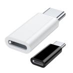 Lightning USB Type-C 変換アダプタ 2個セット PD 対応 データ転送 USB C 簡単接続 持ち運び 小型