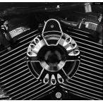  параллель импортные товары Harley передний aluminium звуковой сигнал динамик защита покрытие большой twin спорт Star 883 2007 год после звуковой сигнал выцветание n желтохвост 1991-2023 XL1200