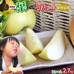 葉っぱの影は甘さのサイン【葉とらずりんご 星の金貨2.7kg ファーム】家庭用 (7-12玉) 送料無料 りんご リンゴ[※産地直送のため同梱不可]