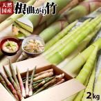 天然 根曲がり竹 送料無料 今が旬 【天然根曲がり竹（生）2kg】 メガセット 東北伝統山の幸!![※クール便][※他商品との同梱不可]