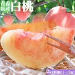  Aomori префектура производство персик бесплатная доставка [ Aomori префектура производство белый персик превосходящий 4kg передний и задний (до и после) ] превосходящий товар (10~18 шар ) День почитания пожилых людей осень минут. день [* обычная температура рейс ][* включение в покупку не возможно ][* такой же один стандарт. 2 коробка до включение в покупку возможно ]