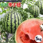 小玉スイカ 送料無料 【青森県産 小玉すいか 南部華手毬 5kg以上】 3玉−6玉 食べ応えのあるシャリ感としっかりとした果肉 大向農園から直送