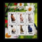 # gun Via марка 2019 год кошка / кошка 6 вид сиденье 