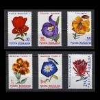 # Roo любитель марка 1971 год цветок / цветок 6 вид .