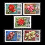 #sobieto марка 1976 год цветок / цветок 5 вид ./so полосный * Россия 