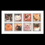 # красный дорога ginia марка кошка / кошка 8 вид сиденье нет глаз удар 