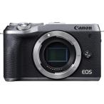 Canon EOS M6 Mark II シルバー ボディ 良品 動作確認済み 1ヶ月保証付 小型軽量 ミラーレス