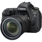 Canon EOS 6D Mark II 24-105 IS STM レンズキット 良品 動作確認済み 1ヶ月保証付 高性能