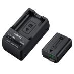 SONY Sony ACC-TRW аксессуары комплект (NP-FW50+BC-TRW)