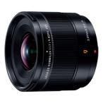 パナソニックLEICADGSUMM...