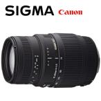 シグマ SIGMA 70-300mm F4-5.6 DG MACRO キヤノン用 望遠ズームレンズ フルサイズ対応 一眼レフ カメラ 中古