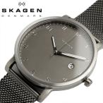スカーゲン SKAGEN HAGEN ハーゲン メンズ クオーツ 腕時計 5気圧防水 日付カレンダー チタニウム ステンレス ミネラルガラス ダブルクリップバタフライ SKW6307