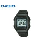 カシオ 腕時計 CASIO カシオ腕時計 WL-500-1AJF 国内正規品