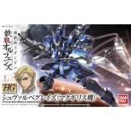 HG 1/144 シュヴァルベグレイズ（マクギリス機）：鉄血のオルフェンズ