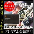 レバリズム-L 肝臓 エキス サポート サプリメント 飲み過ぎ Bella Pelle 30日分 90粒入り