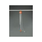 ショッピングESCO エスコ 1.0tonx8.0m チェーンブロック ESCO