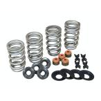 kibru белый Be высокий b клапанная пружина комплект.660 04y-XL 05y-TC Kibblewhite