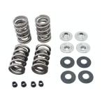 kibru белый легкий клапанная пружина комплект.650in titanium держатель EVO TC Kibblewhite