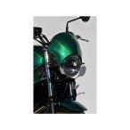 aru Max Z650RS Z650RS 2022-2024 нос обтекатель цвет нет покраска ERMAX