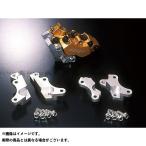 【正規品】Nプロジェクト Newキャリパーサポート（シルバー） NPROJECT