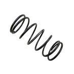 KN企画 強化センタースプリング（YAM