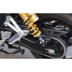  breath Earl's XJR1300 карбоновый цепь защита цвет прозрачный покраска товар BLESS R*S
