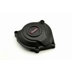  Lidia MT-25/MT-03 YZF-R25/YZF-R3 уголь элемент волокно усиленный генератор покрытие RIDEA