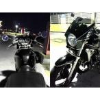  world walk Balius 2 Zephyr 400/X/750/1100 универсальный обтекатель с экраном DS-01 typeR( металлик Spark черный ) WW