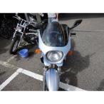 world walk Balius 2 универсальный обтекатель с экраном DS-01 typeR( moon светло-серебристый ) WW