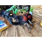 リアル昆虫ぬいぐるみ　カブトムシ　40cm ■ アメリカン雑貨 アメリカ雑貨