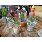 ダルトン　プランツ　ウォーターグローブ　（4個セット）　サボテン　カクタス　アガベ　スノードーム　スノーグローブ