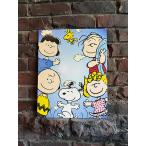  Peanuts Snoopy &f линзы жестяная пластина табличка # american смешанные товары America смешанные товары 